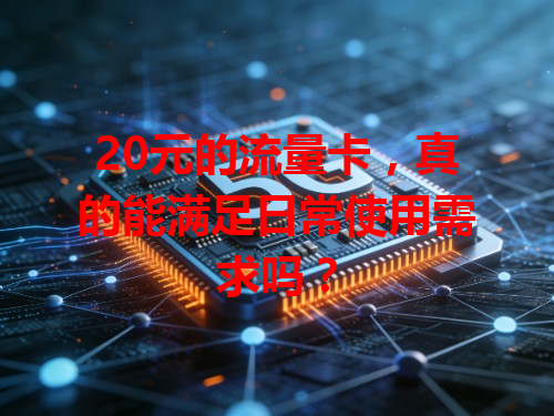 20元的流量卡，真的能满足日常使用需求吗？