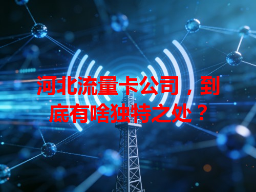 河北流量卡公司，到底有啥独特之处？