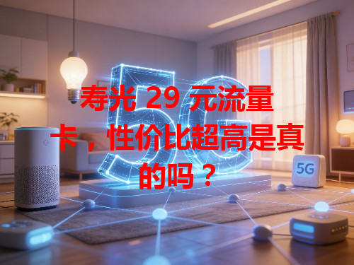 寿光 29 元流量卡，性价比超高是真的吗？