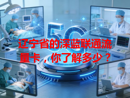 辽宁省的深蓝联通流量卡，你了解多少？