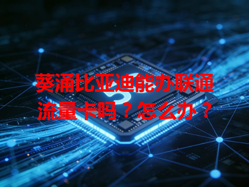 葵涌比亚迪能办联通流量卡吗？怎么办？
