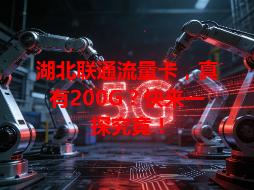 湖北联通流量卡，真有200G？快来一探究竟！