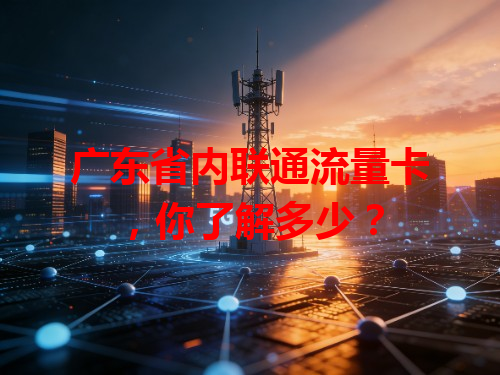 广东省内联通流量卡，你了解多少？