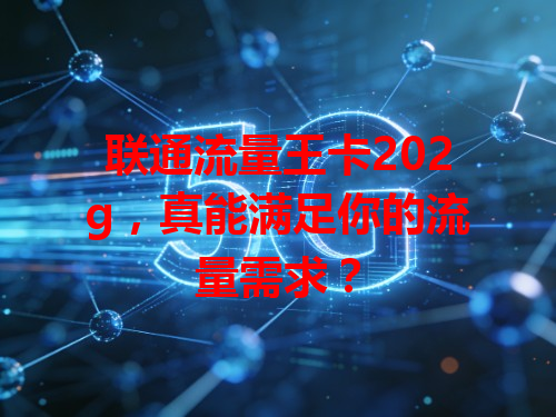 联通流量王卡202g，真能满足你的流量需求？