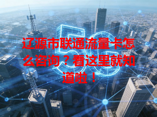 辽源市联通流量卡怎么咨询？看这里就知道啦！