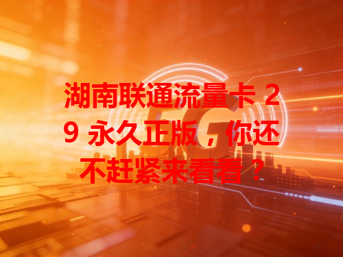湖南联通流量卡 29 永久正版，你还不赶紧来看看？