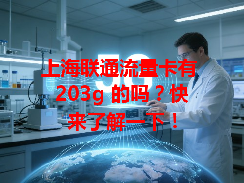 上海联通流量卡有 203g 的吗？快来了解一下！