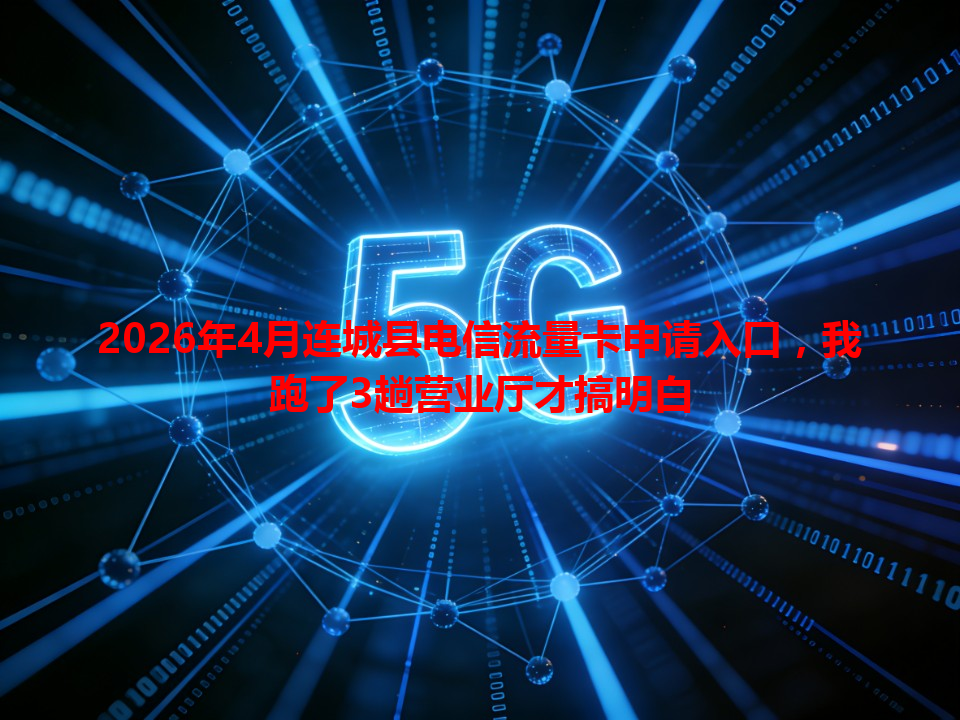 2026年4月连城县电信流量卡申请入口，我跑了3趟营业厅才搞明白