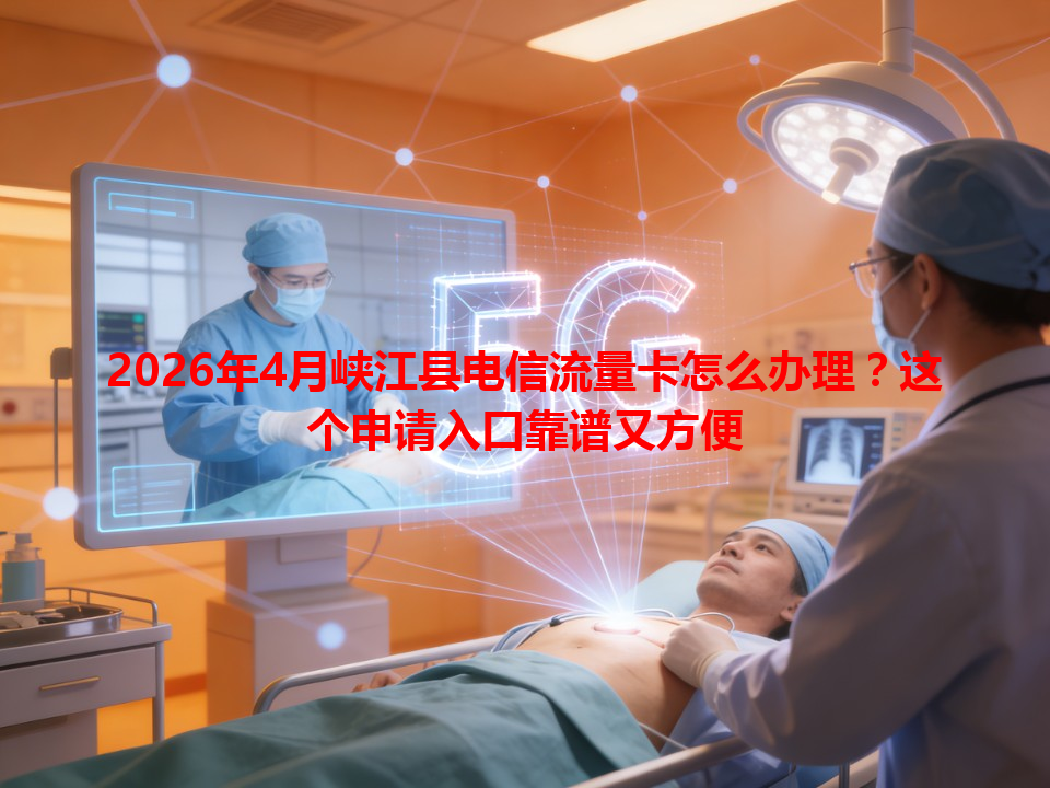 2026年4月峡江县电信流量卡怎么办理？这个申请入口靠谱又方便