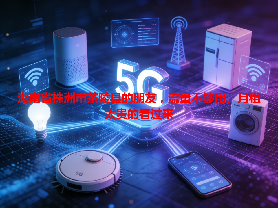 湖南省株洲市茶陵县的朋友，流量不够用、月租太贵的看过来
