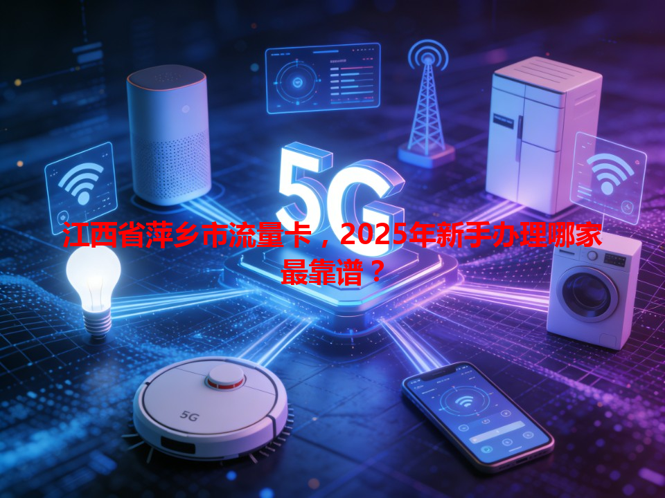 江西省萍乡市流量卡，2025年新手办理哪家最靠谱？