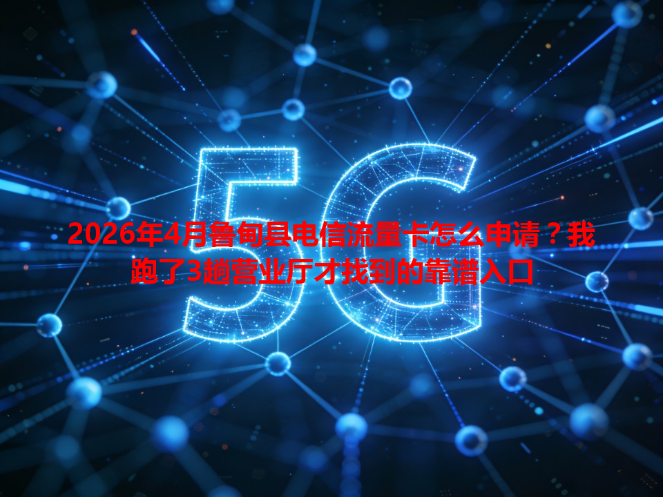 2026年4月鲁甸县电信流量卡怎么申请？我跑了3趟营业厅才找到的靠谱入口