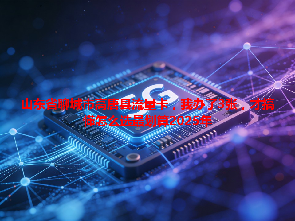 山东省聊城市高唐县流量卡，我办了3张，才搞懂怎么选最划算2025年