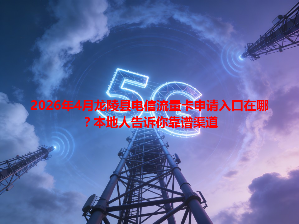2026年4月龙陵县电信流量卡申请入口在哪？本地人告诉你靠谱渠道