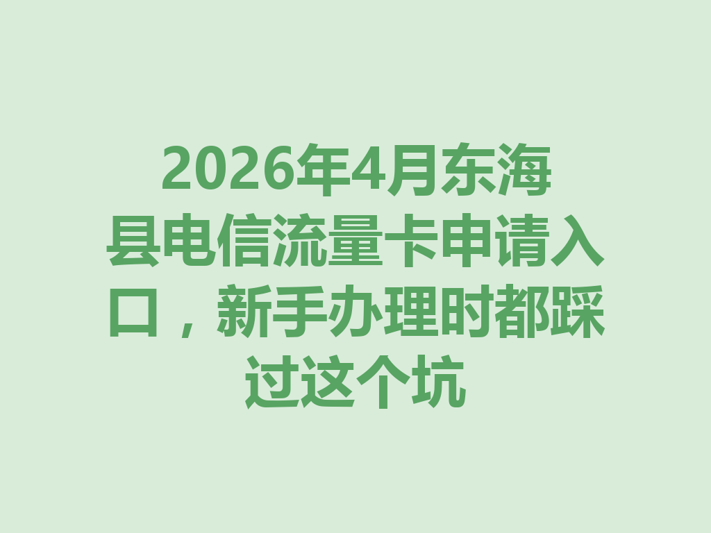 2026年4月东海县电信流量卡申请入口，新手办理时都踩过这个坑