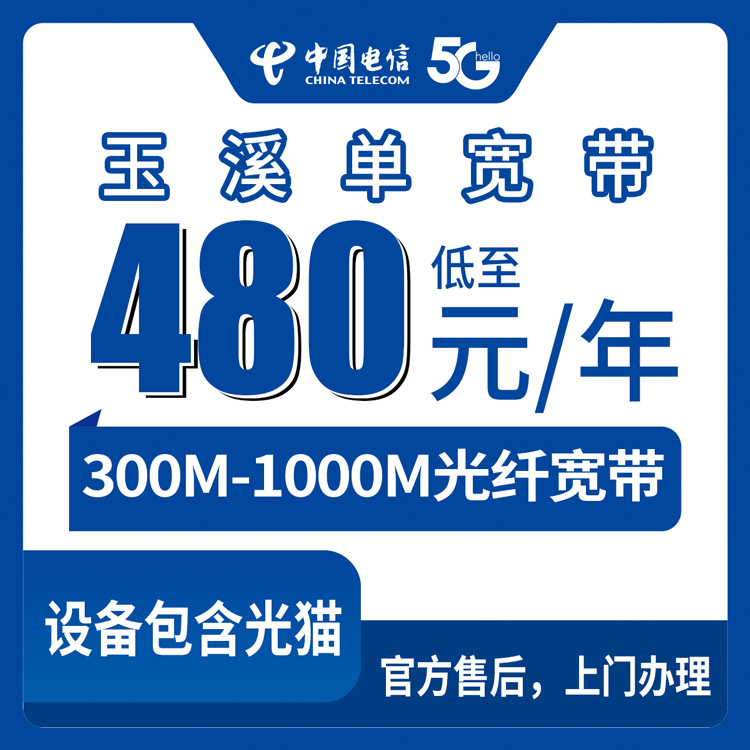 2026年8月10日云南玉溪澄江市电信宽带包年套餐解析，300M和1000M怎么选才不花冤枉钱