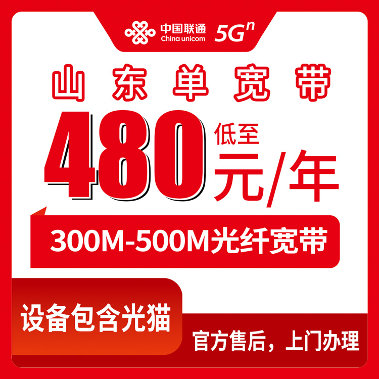 2026年8月10日山东省泰安市联通宽带包年怎么选？480元300M还是600元500M，新手避坑指南