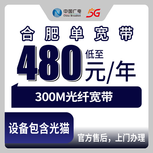2026年10月28日安徽省合肥巢湖市广电宽带480包年300M单宽带，各乡镇街道安装情况记录