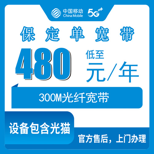 2026年10月保定市移动单宽带怎么选?新手避坑指南